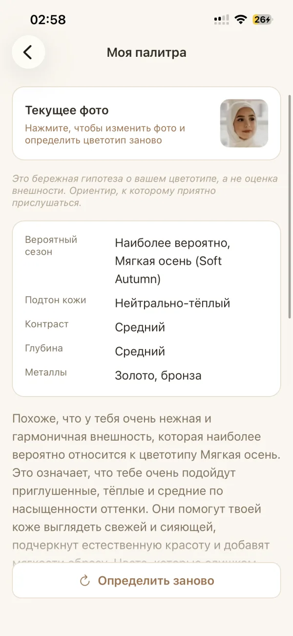 Стиль-портрет и палитра